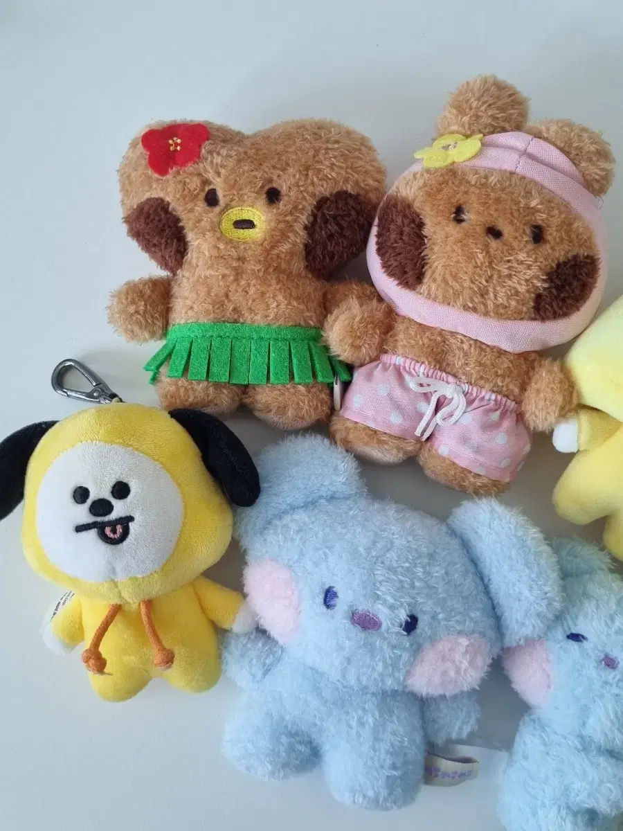 thumbnail-1